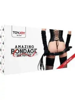 Fantastisches Bondage-Sexspielzeug-Kit von Toyjoy bestellen - Dessou24
