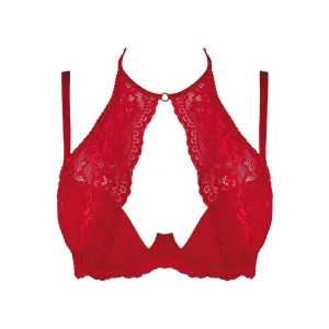♥ V-9531 BH Rot von Axami ♥