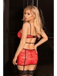 Rotes Set 1888 von Softline Erotic Collection