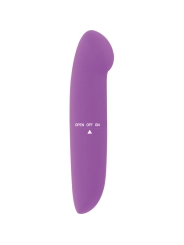 Phil Vibrator Lila von Glossy