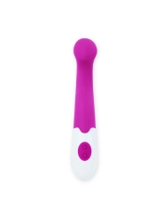 Flirtation Charles Vibrator von Pretty Love Flirtation