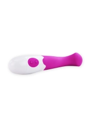 Flirtation Charles Vibrator von Pretty Love Flirtation