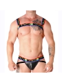 Doppelgeschirr Pride Limited von Macho Underwear