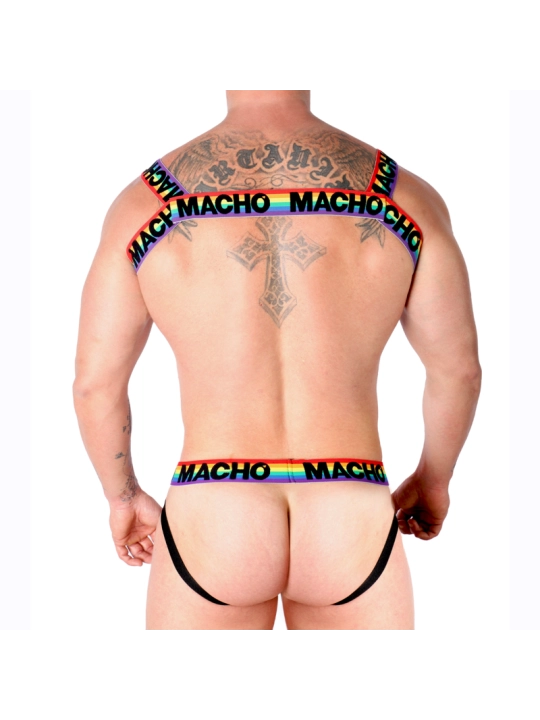 Doppelgeschirr Pride Limited von Macho Underwear