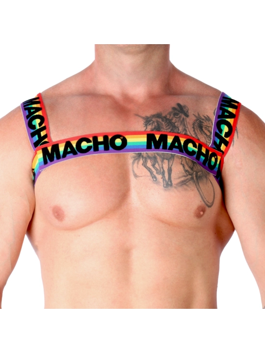 Doppelgeschirr Pride Limited von Macho Underwear