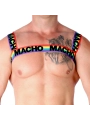 Doppelgeschirr Pride Limited von Macho Underwear