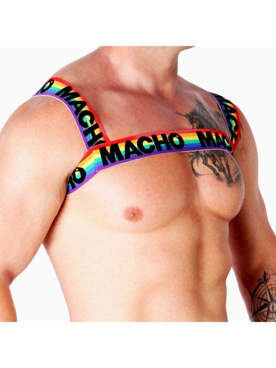 Doppelgeschirr Pride Limited von Macho Underwear