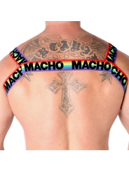 Doppelgeschirr Pride Limited von Macho Underwear