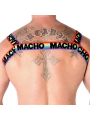 Doppelgeschirr Pride Limited von Macho Underwear