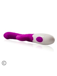 Flirtation Arthur Vibrator von Pretty Love Flirtation