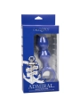 Admiral Fortgeschrittener Analplug Blau von Calexotics