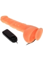 Penis Vibrations Dildo mit Realistischem Vibrationsgefühl von Baile Vibrators