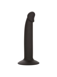 Slim Anal Stud von Calexotics