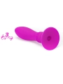 Booty Passion Vibrator Plug 10v von Pretty Love Smart