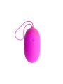 Egg Berger Fernbedienbares 12v von Pretty Love Smart