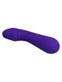 Cetus Wiederaufladbarer Vibrator Lila von Pretty Love Smart