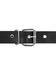 Rnes Murdock 19.8 + 15 cm -O- 4 cm von Harness Attraction