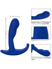 Admiral Gebogener Analstimulator & Vibrator Blau von Calexotics