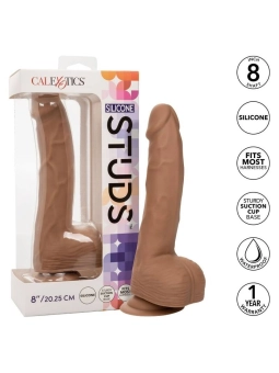 Dildos & Plugs