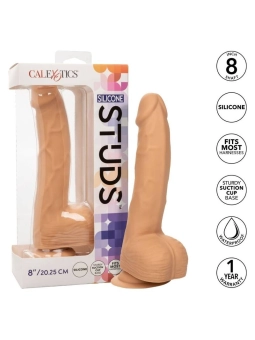 Dildos & Plugs