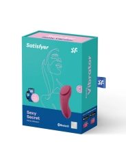 Sexy Secret Panty von Satisfyer Connect