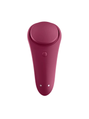 Sexy Secret Panty von Satisfyer Connect