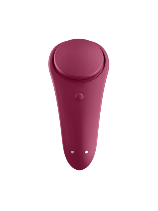 Sexy Secret Panty von Satisfyer Connect