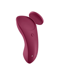 Sexy Secret Panty von Satisfyer Connect