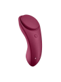 Sexy Secret Panty von Satisfyer Connect