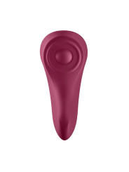 Sexy Secret Panty von Satisfyer Connect