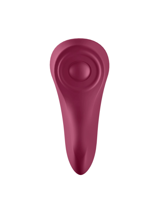 Sexy Secret Panty von Satisfyer Connect