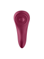 Sexy Secret Panty von Satisfyer Connect