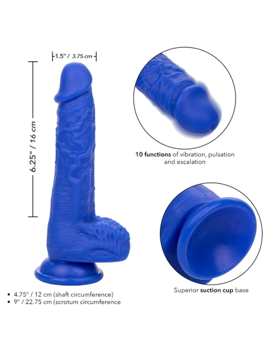 Admiral Sailor Realistischer Dildo-Vibrator Blau von Calexotics