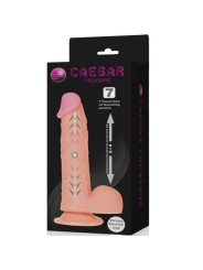 Caesar Treasure Realistischer Dildo Up & Down Funktion von Baile Vibrators