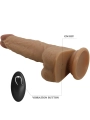 Jonathan Silikondildo 3 Vibrationen + 3 Einführmassnahmen Fernbedienbares 21 cm von Pretty Love High Grade