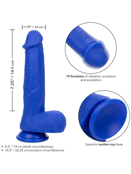 Admiral Kapitn Realistischer Dildo-Vibrator Blau von Calexotics