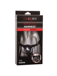 Here Royal Harness The Queen in Einer Grösse von Calexotics