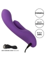 Stella Dual Pleaser Violet von Calexotics