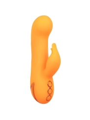 Montecito Muse Vibrator Rabbit Orange von California Dreaming von Calexotics