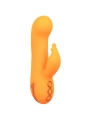 Montecito Muse Vibrator Rabbit Orange von California Dreaming von Calexotics