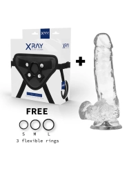 Geschirr + Klarer Dildo mit Eier 18.5 cm -O- 3.8 cm von X Ray