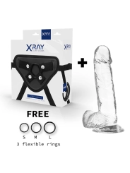 Geschirr + Klarer Dildo mit Eier 20 cm -O- 4.5 cm von X Ray