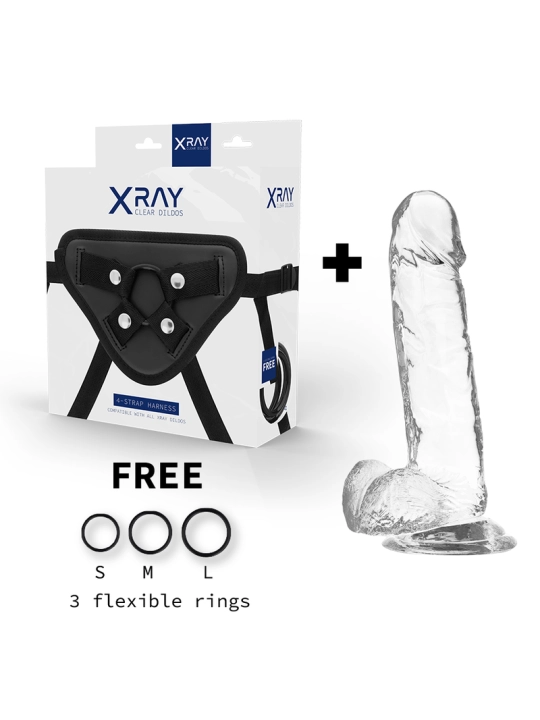 Geschirr + Klarer Dildo mit Eier 20 cm -O- 4.5 cm von X Ray