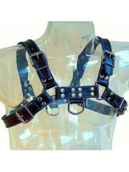 Brust Bulldog Harness Schwarz / Blau Leder von Leather Body