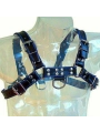 Brust Bulldog Harness Schwarz / Blau Leder von Leather Body