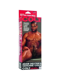 Adam Dexters Penis von Calexotics