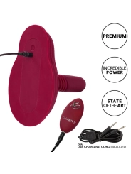 Rider Massager Doppelmotor Fernbedienbares Rot von Calexotics