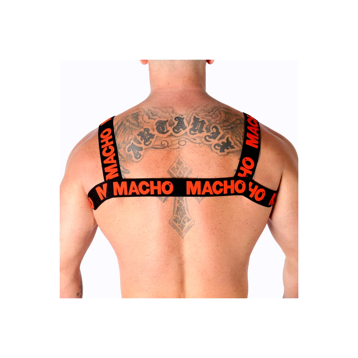 Doppeltes Rotes Geschirr von Macho Underwear kaufen | Fesselliebe