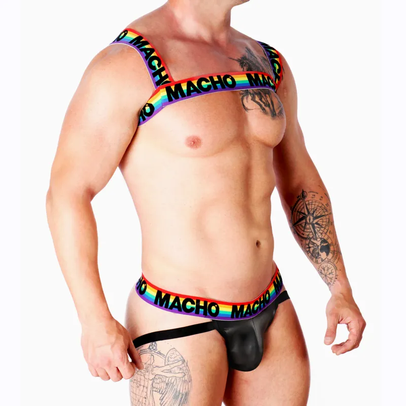 Doppelgeschirr Pride Limited von Macho Underwear kaufen | Fesselliebe 2