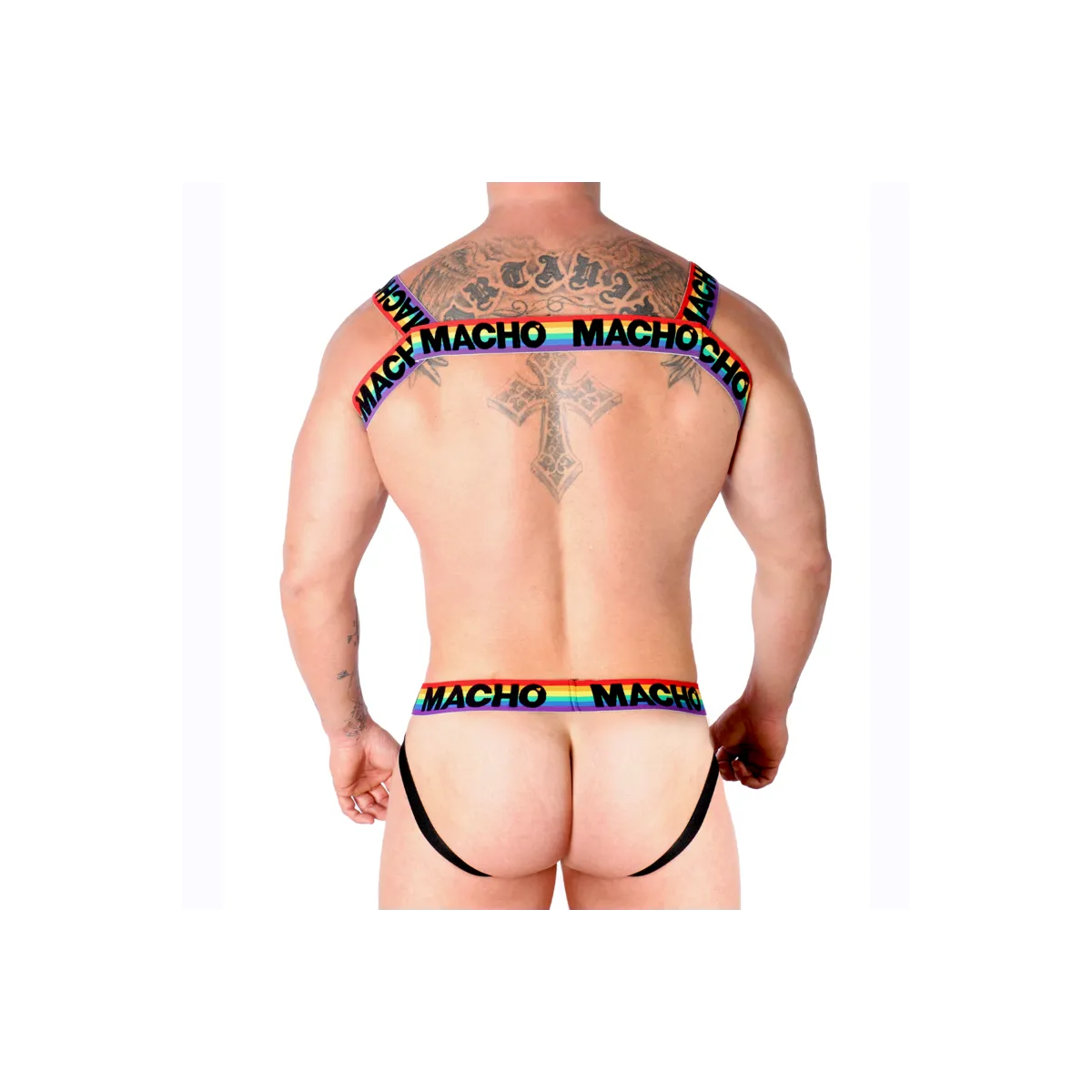 Doppelgeschirr Pride Limited von Macho Underwear kaufen | Fesselliebe